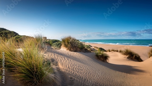 Wallpaper Mural sand dunes with vegetation in andalusian beach Torontodigital.ca