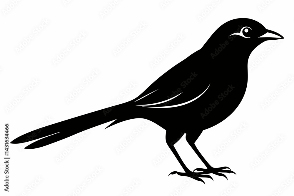Fototapeta premium shrike sihouette black vector