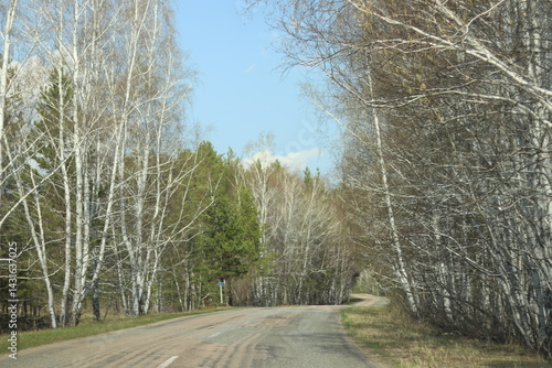road in the forest