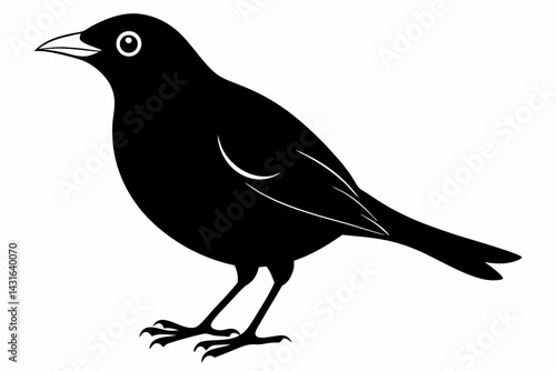 mynah sihouette black vector