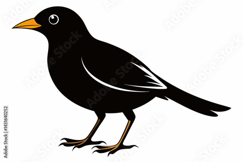 mynah sihouette black vector