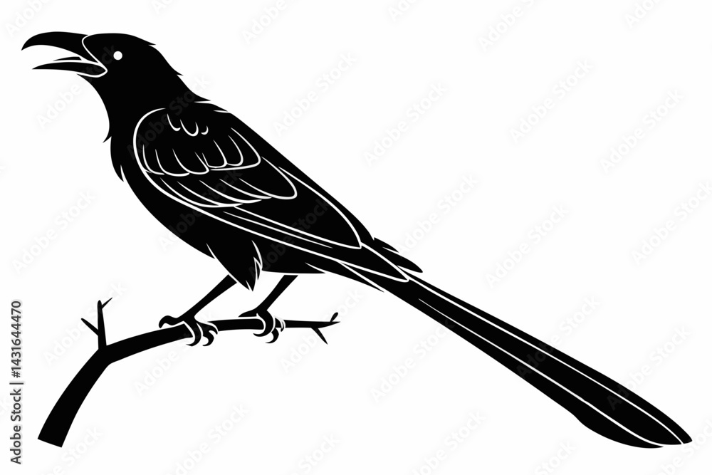 Fototapeta premium drongo sihouette black vector