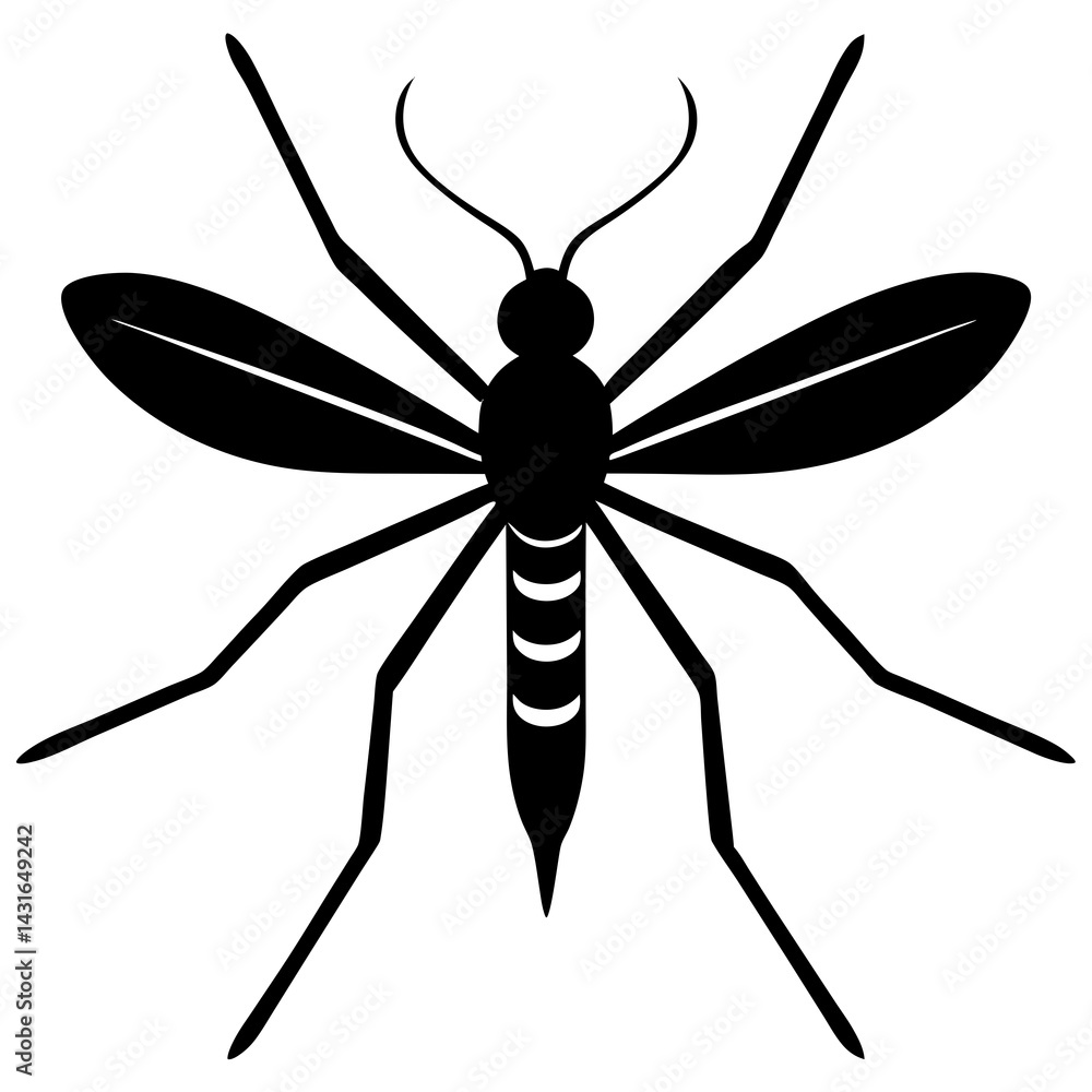Fototapeta premium Animal Mosquito silhouette vector illustrator 