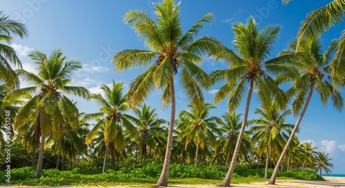 Wallpaper Mural Lush Tropical Paradise Coconut Palm Trees on a Sunny Beach Torontodigital.ca