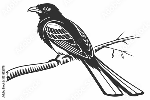 trogon sihouette black vector