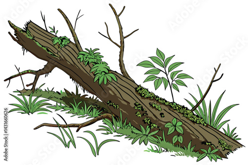 9 Fallen tree branch, moss-covered, miniature ecosystem, green plants growing, isolated on white background, high detail, macro photography, nature study, forest floor, decomposition, biodiversity, te