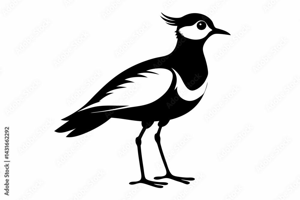 lapwing sihouette black vector lapwing sihouette black vector