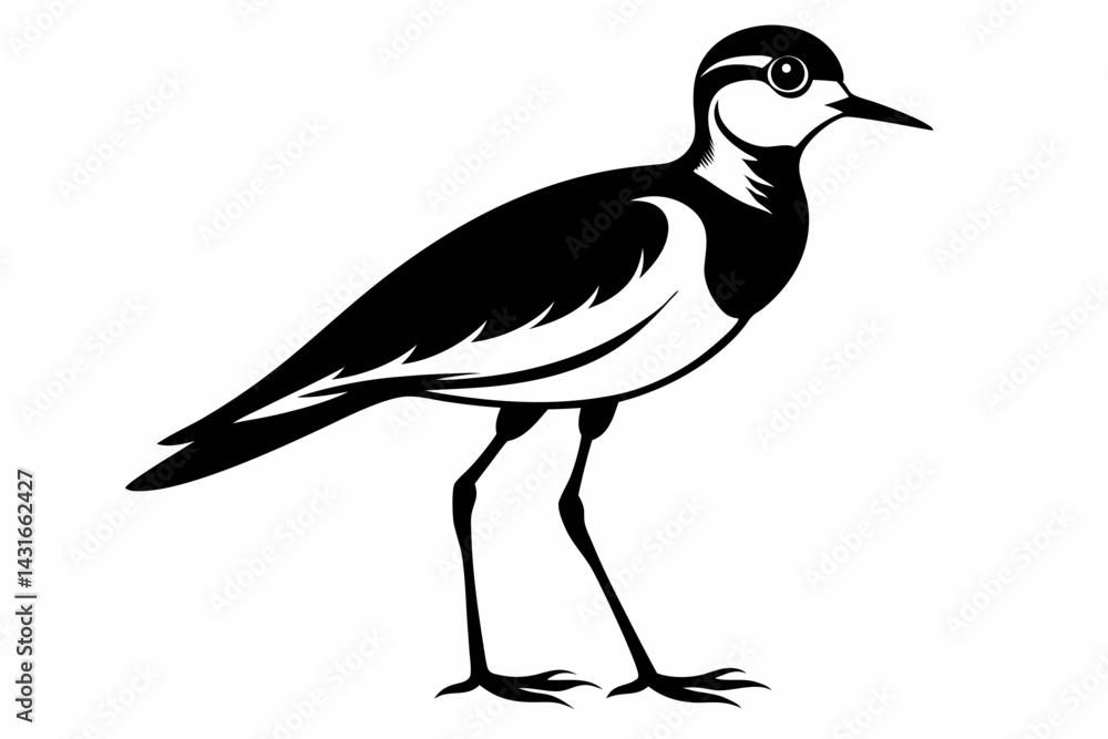 Obraz premium lapwing sihouette black vector