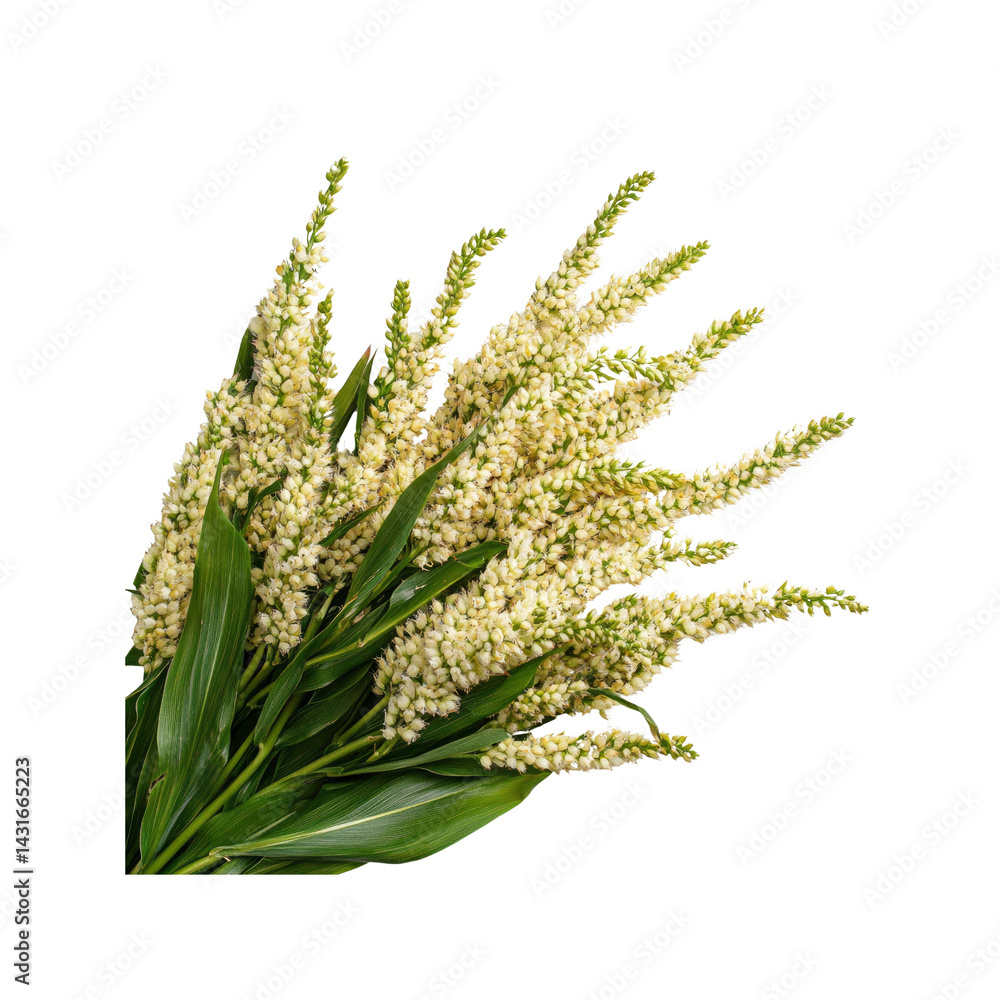 Obraz premium Lush Bouquet of Cream-Colored Lisianthus Flowers with Vibrant Green Foliage