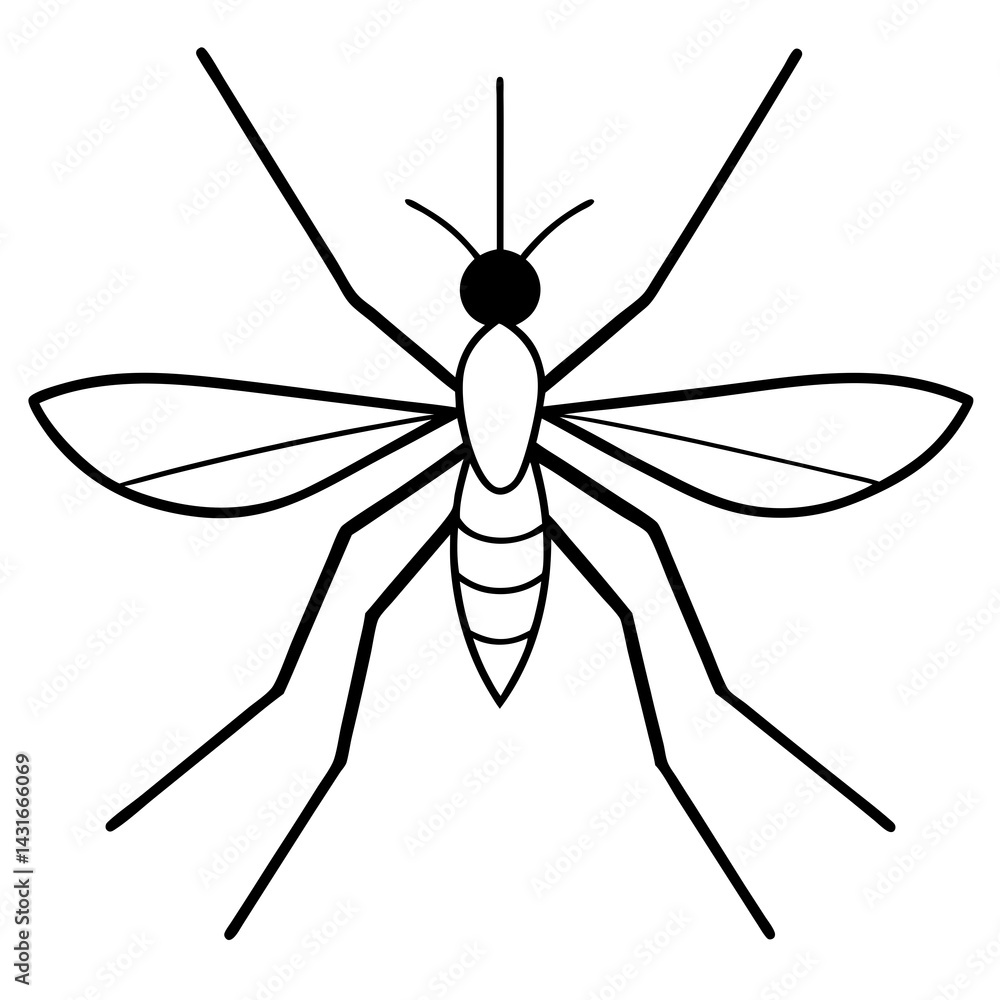 Fototapeta premium Animal Mosquito line art vector