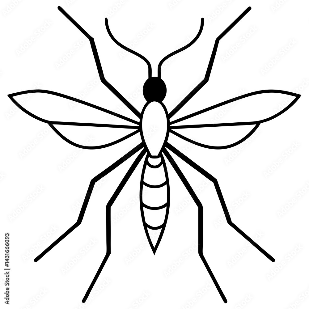 Fototapeta premium Animal Mosquito line art vector 