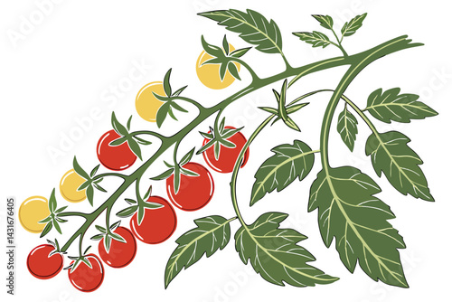 14 Cherry tomato plant, vibrant red and yellow tomatoes, green leaves and stems, isolated on white background, botanical illustration, vertical composition, realistic detail, fresh produce, garden har