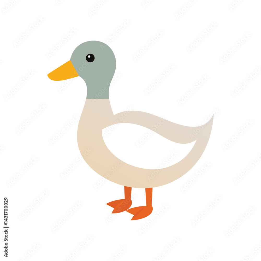 Obraz premium duck vector