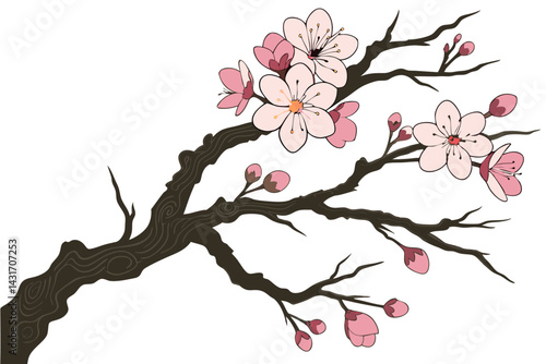 24 Cherry blossom branch, blooming pink flowers, gnarled wood texture, intricate tree bark details, delicate petals, spring blossoms, botanical illustration, white background, nature art, Japanese-ins