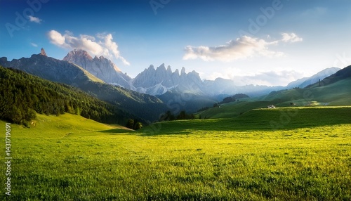 lush field with mountains in the background