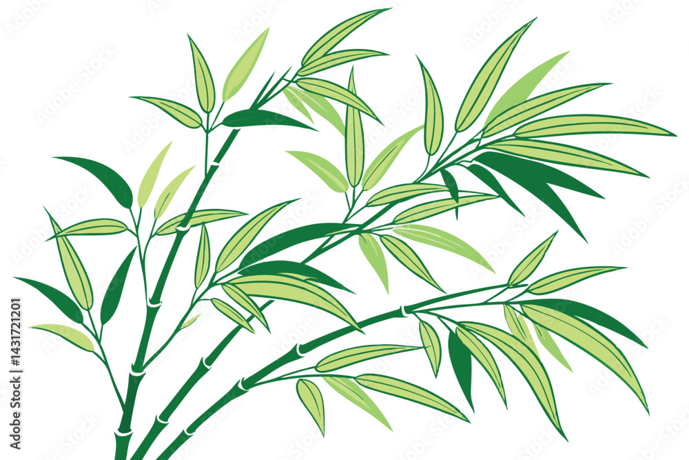Naklejka premium 27 Green bamboo-like plant, vibrant leafy foliage, isolated on white background, botanical illustration, sharp details, minimalist composition, organic form, tropical flora, zen garden element, photor
