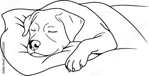 Sleeping Labrador Retriever Dog Line Art Illustration On Pillow Under Blanket