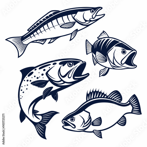 Professional Fish Illustrations: 4 Vector Designs, Nautical Line Art, Salmon, Trout.