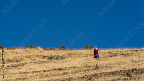 ANDEAN WOMAN HERDING SHEEP ON A HILLSIDE IN RURAL PERU..