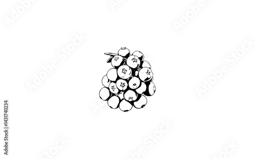 Baccaurea – AI-Enhanced Clustered Round Fruit with Smooth Skin and Segmented Interior