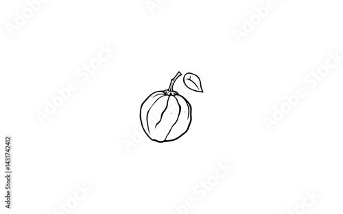 Bacuri – AI-Rendered Botanical Cut Showing Creamy Pulp Inside Thick Rind Fruit