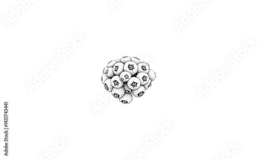 Baccharis Fruit – AI-Stylized Botanical Pod with Hairy Surface and Star-Like Opening