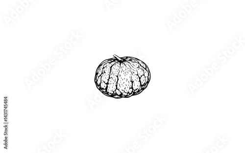 Bambangan – AI-Stylized Rough-Skinned Fruit with Large Central Seed