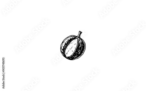  Barking Deer Fruit – AI-Rendered Round Woody Fruit with Juicy Pulp Core