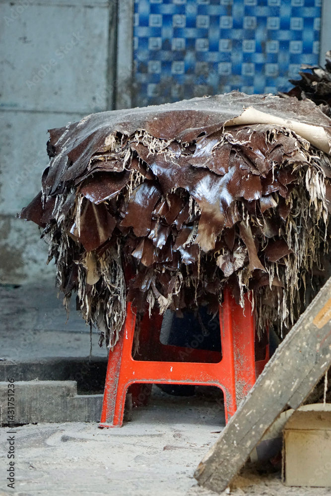leather production at the dharavi slum in mumbai, india