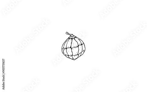 Beech Nut Fruit – AI-Stylized Triangular Nut-Like Fruit with Hard Shell