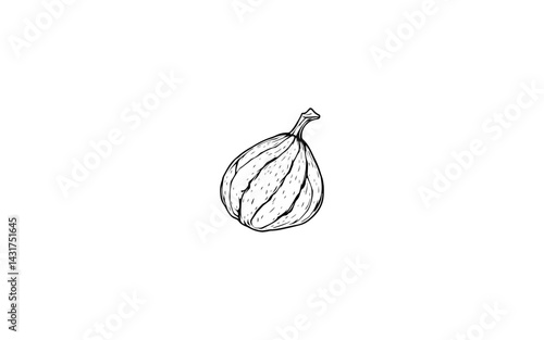 Beech Nut Fruit – AI-Stylized Triangular Nut-Like Fruit with Hard Shell