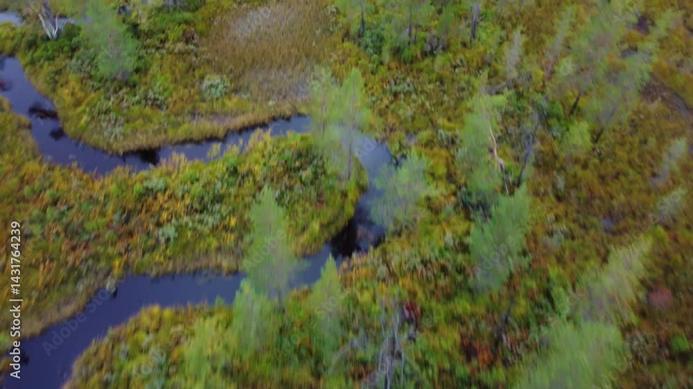 The marshes of Karelia. Bird's-eye view of a natural swamp from above, against the background of wild nature, Russia. Peat bog in autumn. Bird's-eye view of the forest river flowing through the swamp The marshes of Karelia. Bird's-eye view of a natural swamp from above, against the background of wild nature, Russia. Peat bog in autumn. Bird's-eye view of the forest river flowing through the swamp