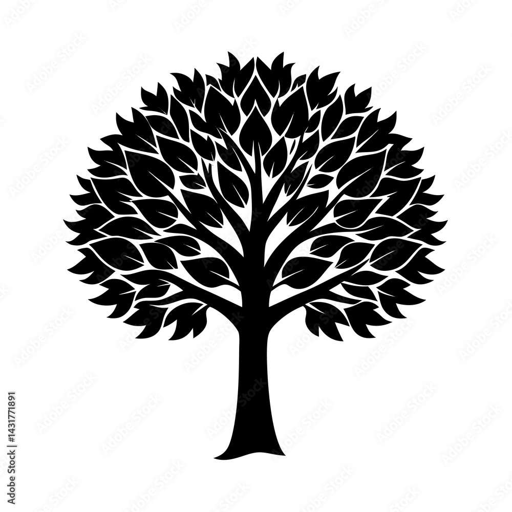 Obraz premium Teak Tree Vector Illustration on White Background Minimalist Nature Clipart Design