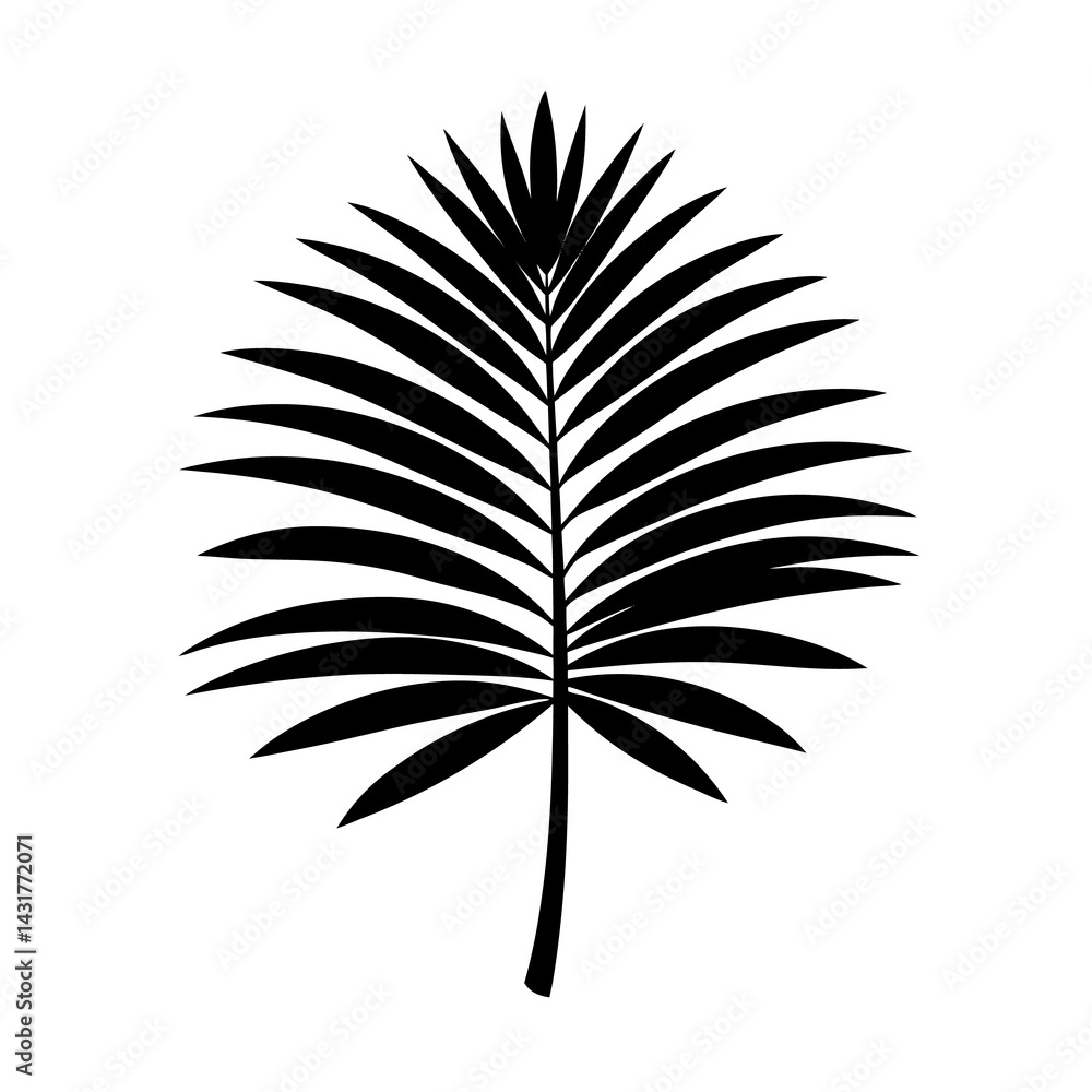 Fototapeta premium Green Palm Leaf Vector on White Background Tropical Clipart for Design & Decoration