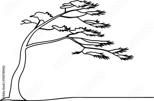 Fotografija Stylized Black Outline Drawing Of Windswept Evergreen Tree Silhouette Against Wh