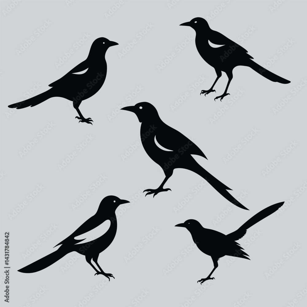 Fototapeta premium set of birds
