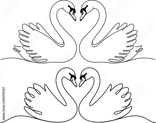Romantic Swan Couple Line Art Illustration, Elegant Bird Drawing