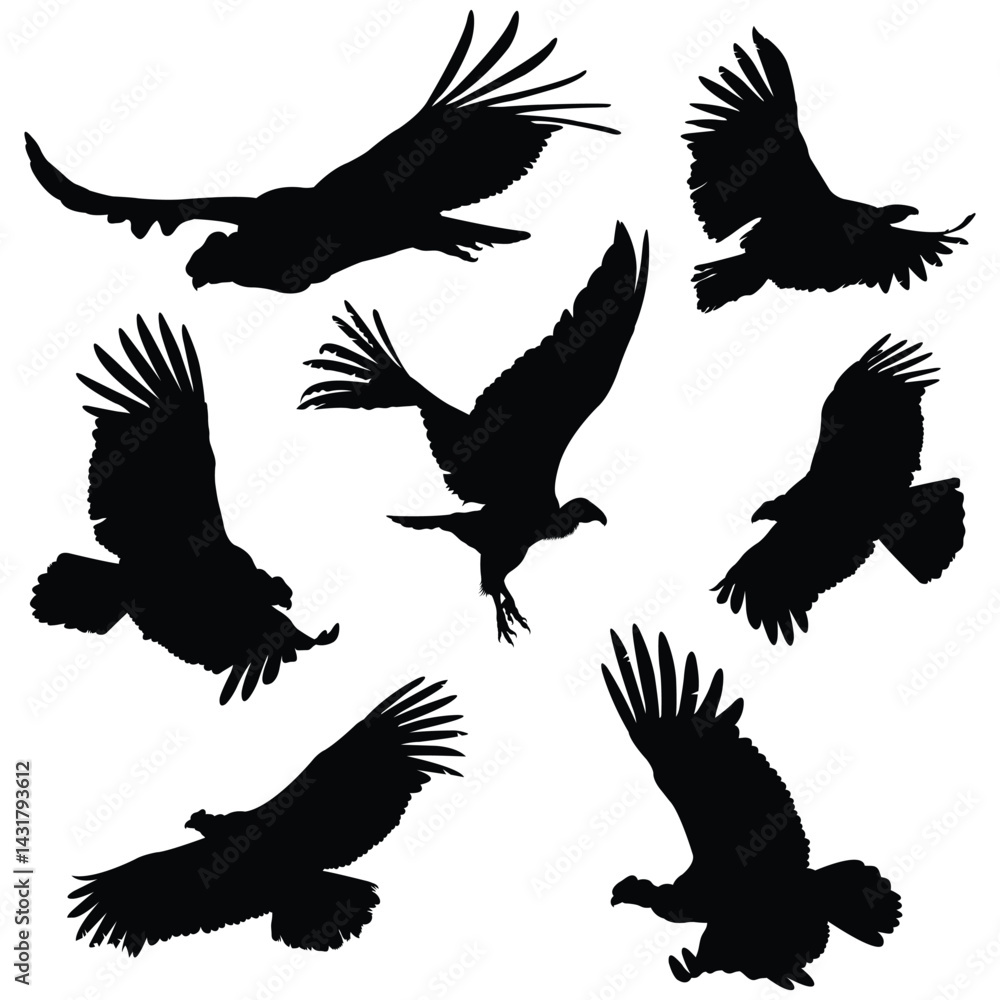 Fototapeta premium Condor bird Vector illustration Design Condor bird vector icon