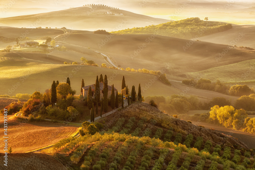 Landscape of hills, country road, cypresses trees and rural houses,Tuscany