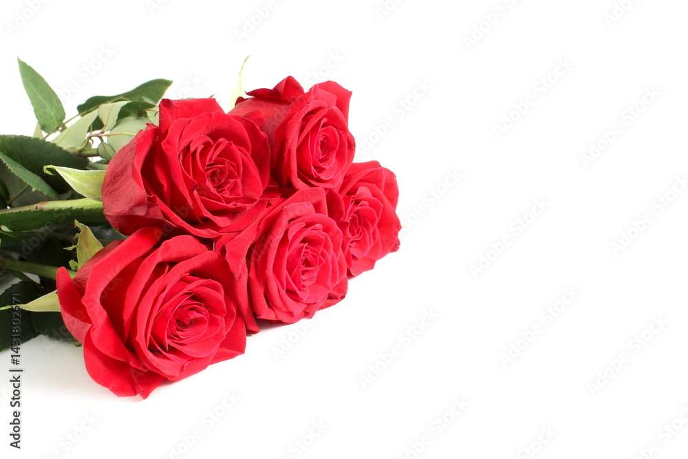 A bouquet of red roses is on a white background. A bouquet of red roses is on a white background.