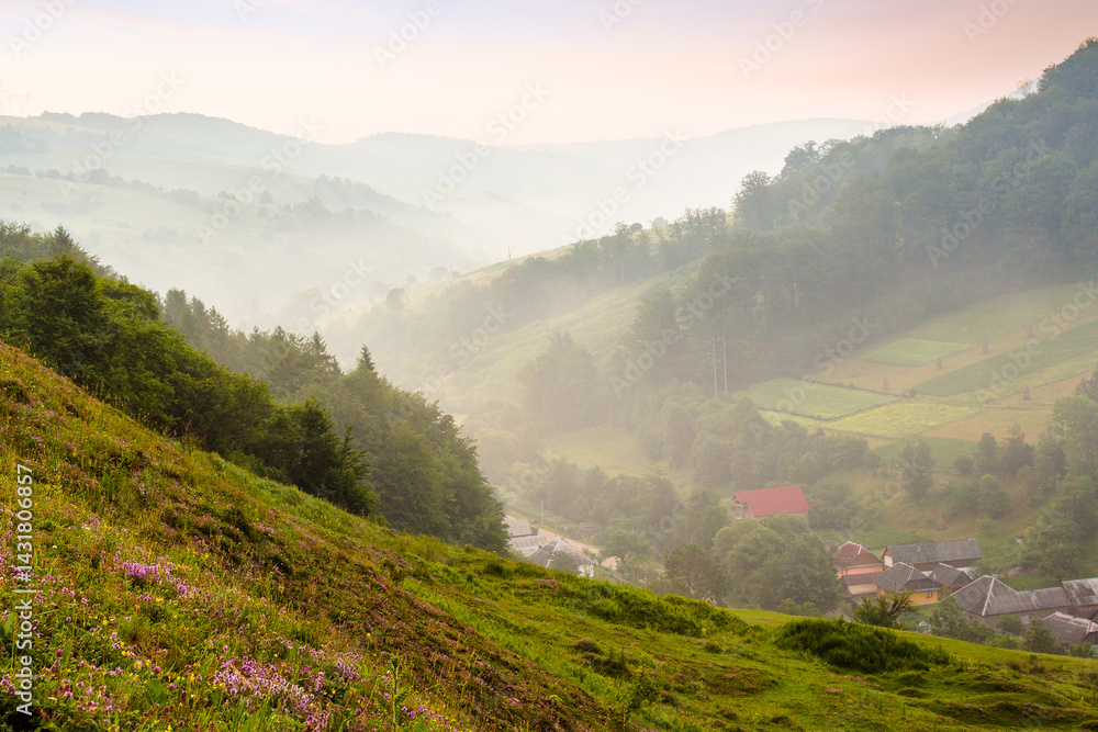 abranka village in the valley at foggy sunrise. countryside landscape with red clouds above forested hills and rural fields. beautiful scenery of transcarpathia, ukraine in summer. open view