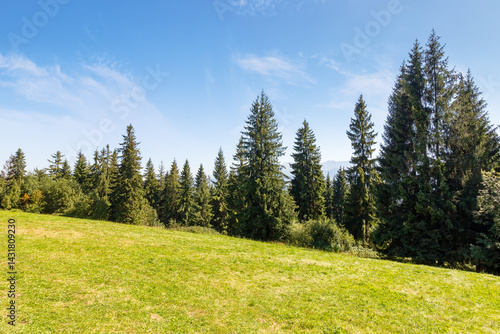Obraz na płótnie landscape with forest behind the meadow. sunny day. nature background with blue sky and tatra mountains of poland. zakopane alpine woodland w salonie