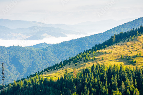 Obraz na płótnie mountain landscape of ukrainian alps in summer. morning scenery with fog in the distant valley. forest on the steep slope of chornohora ridge w salonie