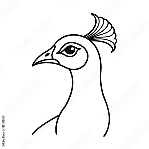 Elegant peacock head outline illustration with detailed crest feathers black and white minimalist vector drawing