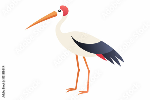white stork ciconia