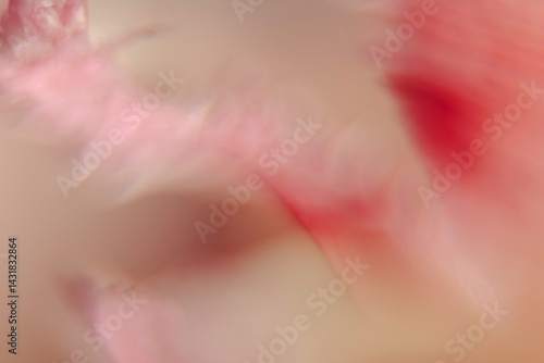 close up of pink flower