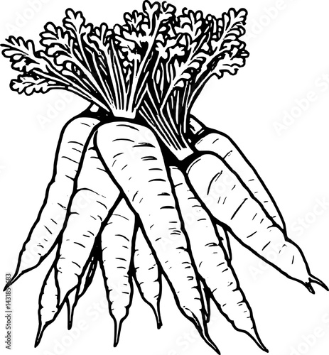A Bunch Of Freshly Harvested Pale Yellow Carrots With Green Tops