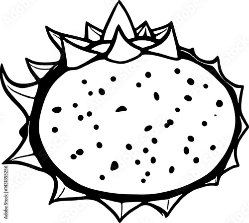 Line Art Drawing Of A Spiky Tropical Fruit