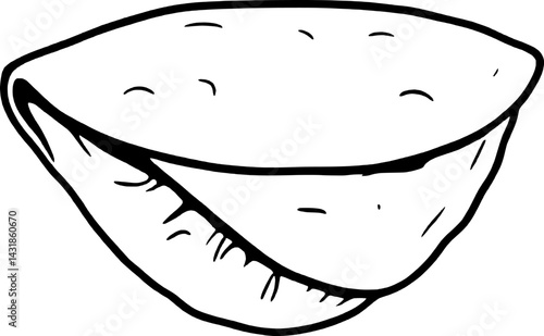 Simple Line Drawing Of A Single Opened Brazil Nut