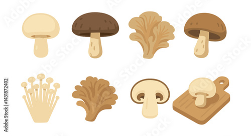 Edible mushroom icons set: diverse fungi collection in flat style. Vector icons
